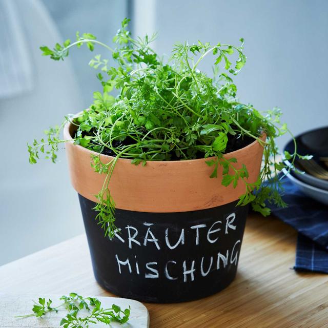 INDIVIDUELL KRÄUTER (Pflanzset-Etui)