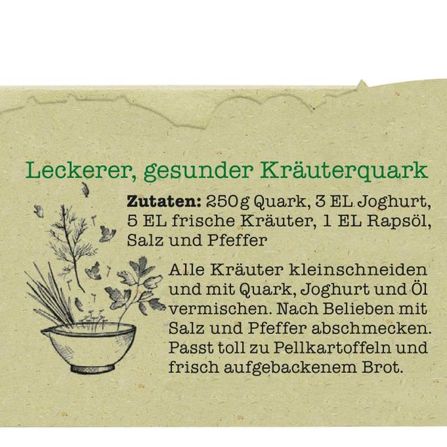 INDIVIDUELL KRÄUTER (Pflanzset-Etui)