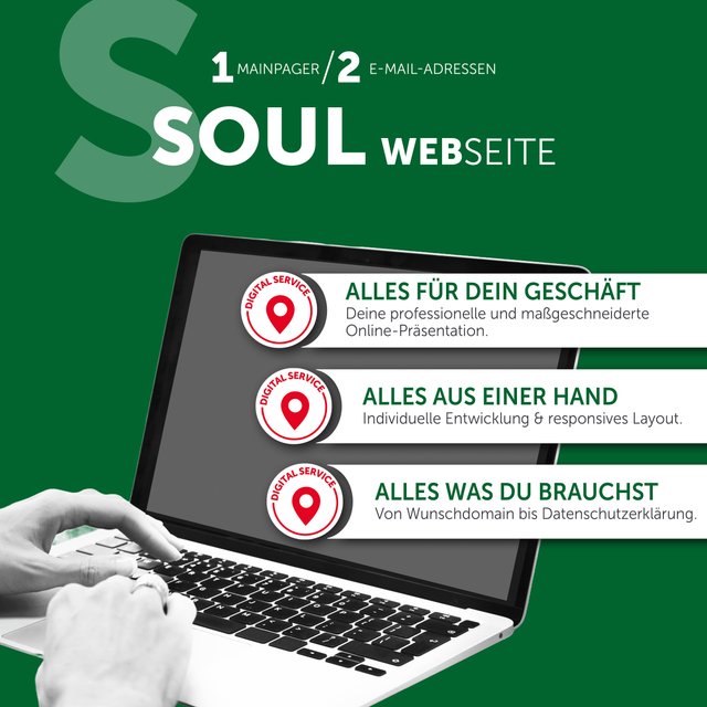 Web Soul: Setup 1.146,- mtl. 40,- 24 Mon